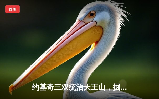 约基奇三双统治天王山，掘金主场力克森林狼夺赛点